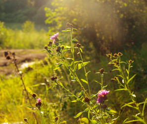 Similar image 9422098