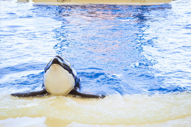 Similar image 9422270