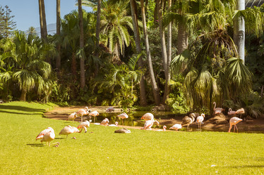 Similar image 9422280