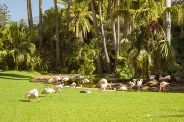 Similar image 9422283