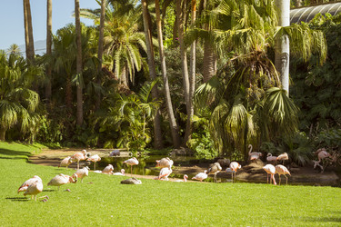 Similar image 9422288