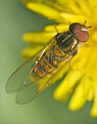 Similar image 9422545