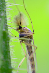 Similar image 9422570