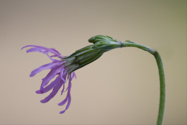 Similar image 9422583