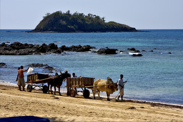 Similar image 9422762