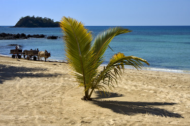 Similar image 9422767