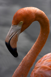 Similar image 9422994