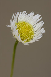 Similar image 9422996