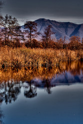 Similar image 9423006