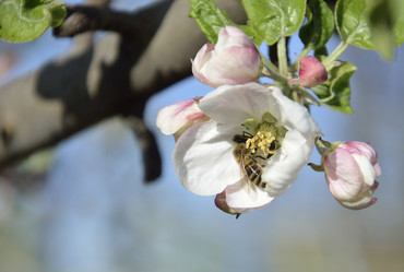 Similar image 9423341