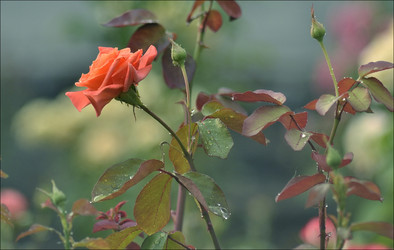 Similar image 9423342