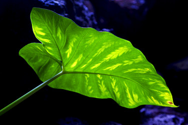 Similar image 9423353