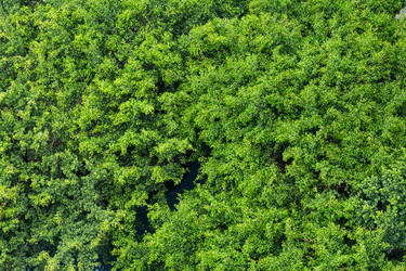 Similar image 9424452