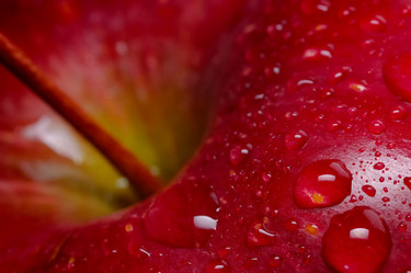 Similar image 9426575