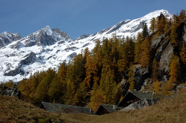 Similar image 9426582