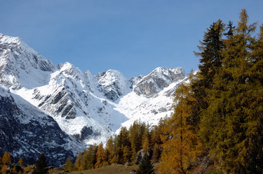 Similar image 9426619