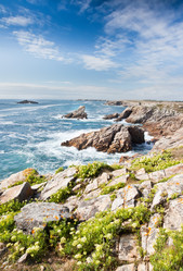 Similar image 9426640