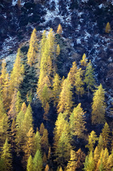 Similar image 9426646