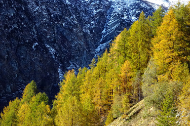 Similar image 9426660