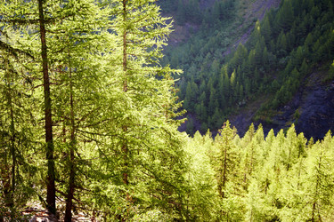 Similar image 9427689