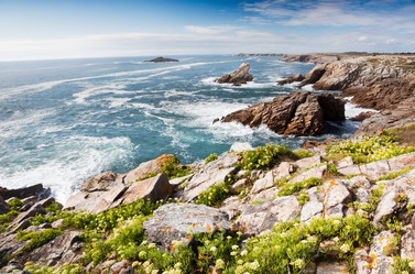 Similar image 9427710