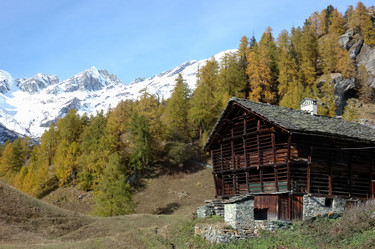 Similar image 9427758