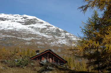 Similar image 9427779