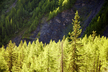 Similar image 9427797