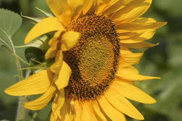 Similar image 9427958