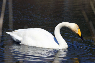 Similar image 9428313