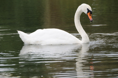 Similar image 9428319