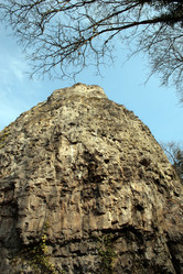 Similar image 9428324