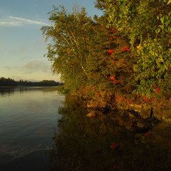 Similar image 9428331