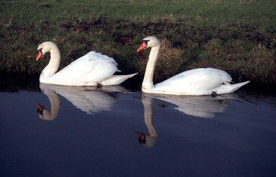 Similar image 9428333