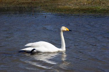 Similar image 9428421