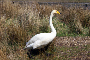 Similar image 9428426