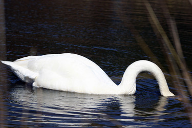 Similar image 9428428