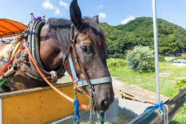 Similar image 9432604