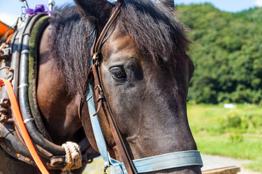 Similar image 9432606