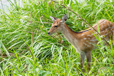 Similar image 9432932