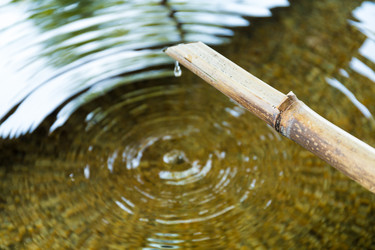 Similar image 9432946