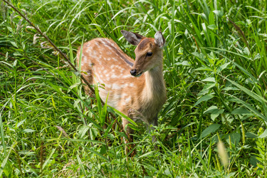 Similar image 9433085