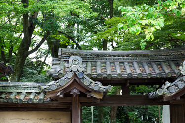 Similar image 9433427