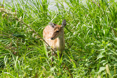 Similar image 9433579