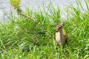 Similar image 9433583