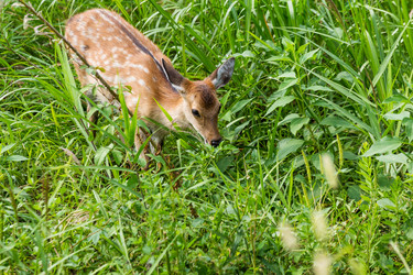 Similar image 9433585