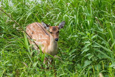 Similar image 9433588