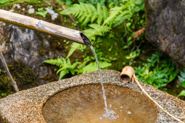 Similar image 9433887