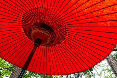 Similar image 9434028