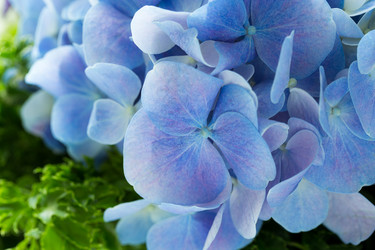 Similar image 9434903